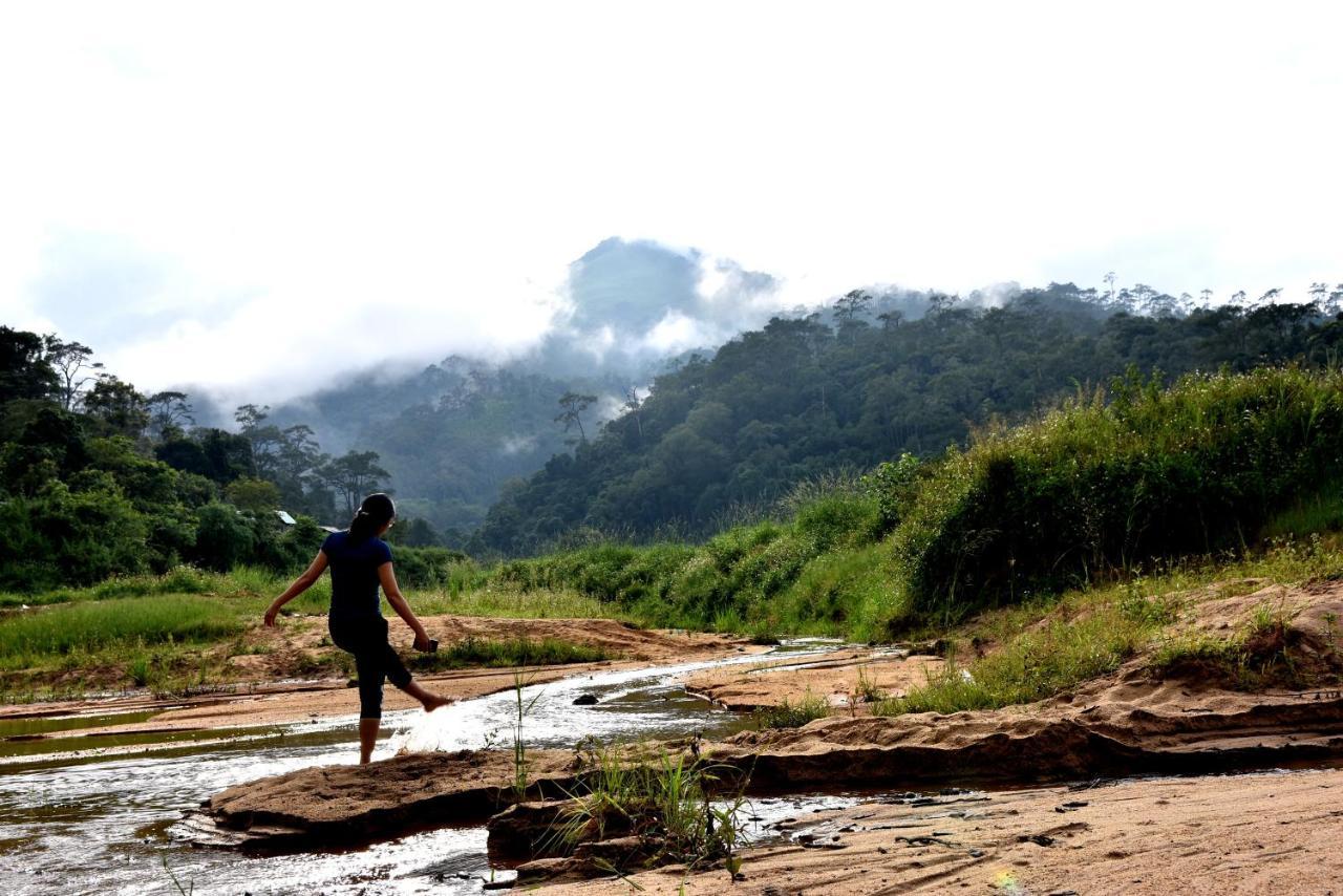 Big Mang Den Homestay Kon Von Kla Luaran gambar