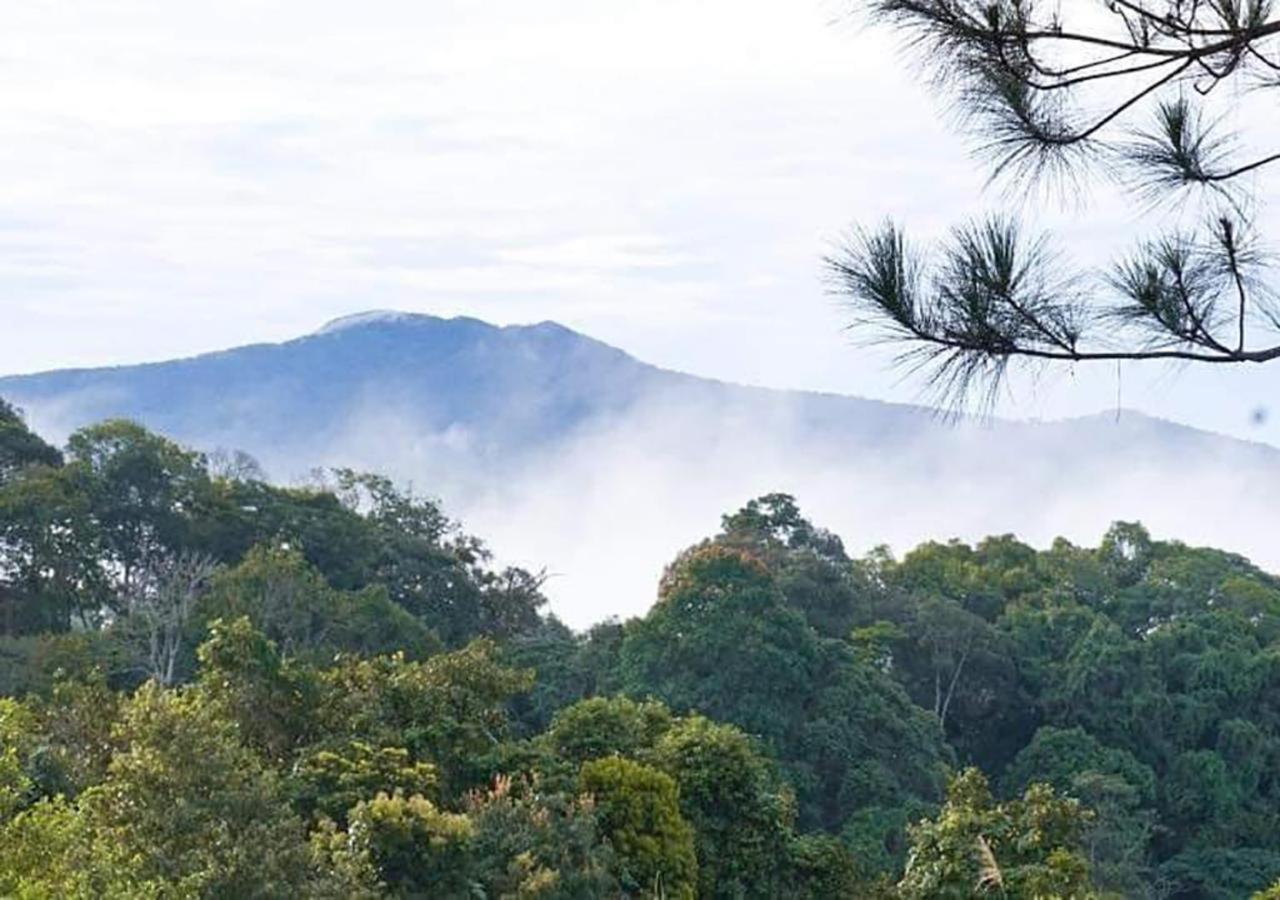 Big Mang Den Homestay Kon Von Kla Luaran gambar